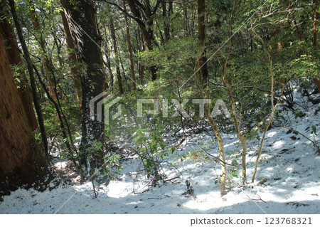 Mount Tsukuba scenery 123768321