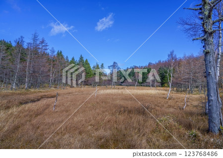 藍天白雲下的深秋大原濕地風景 123768486