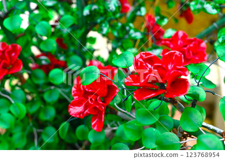 Beautiful glass rose Beautiful glass rose 123768954