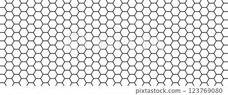 Repeated hexagon pattern. Honeycomb background. Minimalistic print with hexahedrons. Mosaic geometric texture. Beehive structure. Tile floor, fence or fishnet surface. Vector graphic illustration 123769080