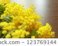 Mimosa Bouquet 1 123769144