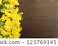Bouquet of mimosa flowers on a dark wooden background 1 123769145