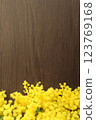 Two bouquets of mimosa flowers on a dark wooden background 123769168