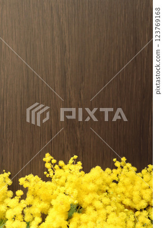 Two bouquets of mimosa flowers on a dark wooden background Two bouquets of mimosa flowers on a dark wooden background 123769168