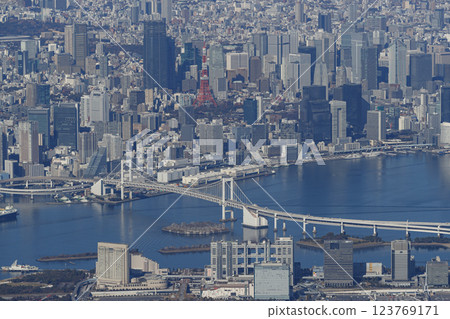 Tokyo seen from the sky Tokyo seen from the sky 123769171