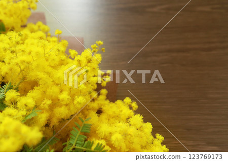 Mimosa bouquet 3 Mimosa bouquet 3 123769173