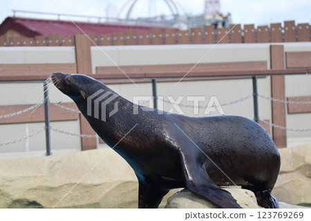 大阪天王寺動物園的溫暖的一天 大阪天王寺動物園的溫暖的一天 123769269