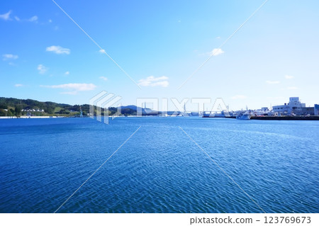 Kesennuma Bay from Minegasaki Observation Point 123769673