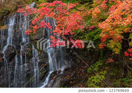 青森縣黑石市的秋天-不動瀑布、中野紅葉山 青森縣黑石市的秋天-不動瀑布、中野紅葉山 123769689