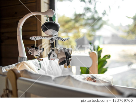 Adorable Baby Crib Mobile 123769760