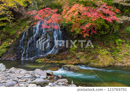 Autumn in Kuroishi, Aomori Prefecture - Fudo Falls and Nakano Momijiyama 123769791