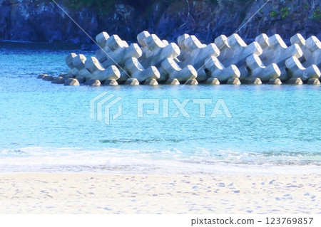 Tetrapod Tetrapod 123769857