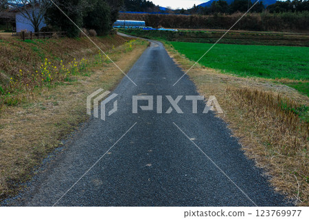 Straight road under cloudy skies 123769977