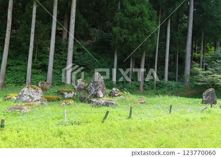 Ichijodani Asakura遺址Nanyo Temple遺址花園 123770060