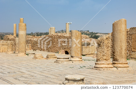 Ruins of Sufetula Grand Baths under Tunisian sun Ruins of Sufetula Grand Baths under Tunisian sun 123770074