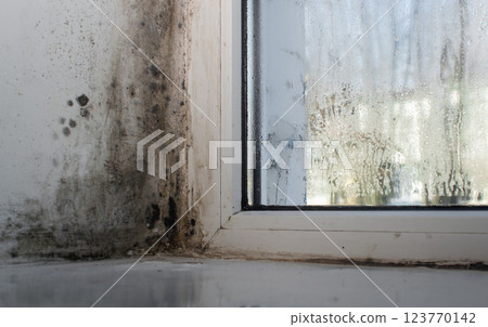mold on wet plastic windows.  123770142