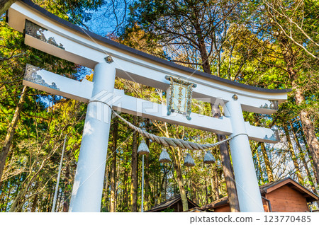 Torii gate at Hodosan Shrine Okumiya in Chichibu, Saitama Torii gate at Hodosan Shrine Okumiya in Chichibu, Saitama 123770485