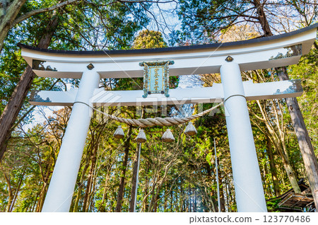 Torii gate at Hodosan Shrine Okumiya in Chichibu, Saitama 123770486