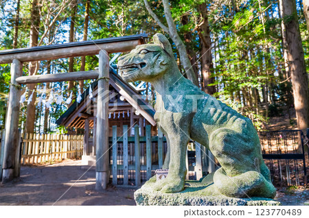 Saitama, Chichibu, Hodosan Shrine Okumiya Dog 123770489