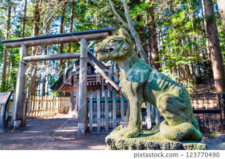 Saitama, Chichibu, Hodosan Shrine Okumiya Dog Saitama, Chichibu, Hodosan Shrine Okumiya Dog 123770490