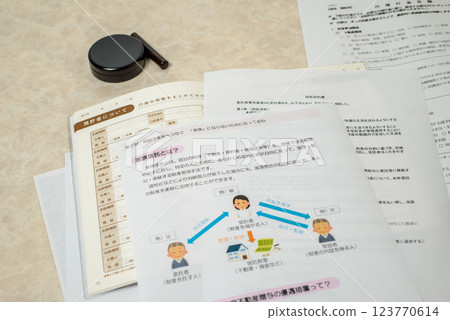 Adult Guardianship System: A system that provides legal support on behalf of the individual Adult Guardianship System: A system that provides legal support on behalf of the individual 123770614