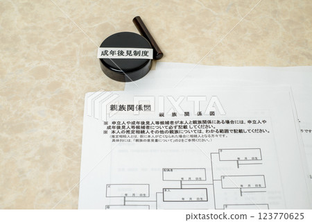 Adult Guardianship System: A system that provides legal support on behalf of the individual Adult Guardianship System: A system that provides legal support on behalf of the individual 123770625
