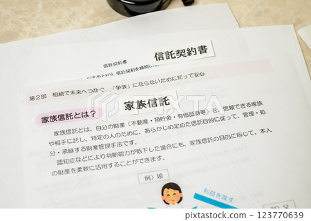 Adult Guardianship System: A system that provides legal support on behalf of the individual 123770639