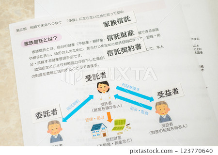 Adult Guardianship System: A system that provides legal support on behalf of the individual Adult Guardianship System: A system that provides legal support on behalf of the individual 123770640