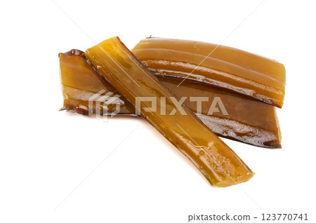 Fresh stem Kelp wakame isolated on white background. Japanese food. 123770741