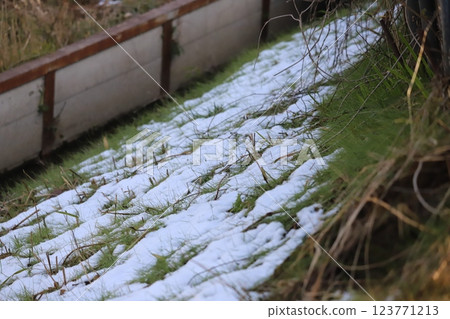 snow on the ground 123771213