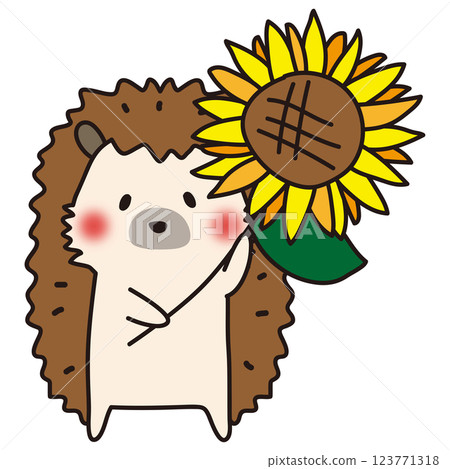 Hedgehog holding a sunflower 123771318