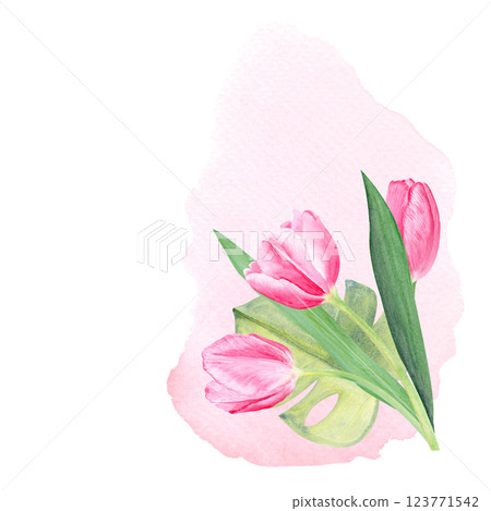 Tulips bouquet on gradient background, watercolor composition isolated on white. Hand painted pink flowers. High quality clip art perfect for mother's day, women's day cards, posters, packaging, decor Tulips bouquet on gradient background, watercolor composition isolated on white. Hand painted pink flowers. High quality clip art perfect for mother's day, women's day cards, posters, packaging, decor 123771542