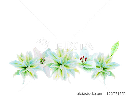 White lily flower garland watercolor illustration isolated on white. High quality clip art perfect for cards, posters, stickers, Easter, Passover, Holy Thursday, christening baptism wedding church White lily flower garland watercolor illustration isolated on white. High quality clip art perfect for cards, posters, stickers, Easter, Passover, Holy Thursday, christening baptism wedding church 123771551