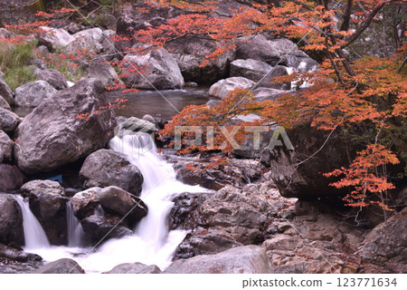 流的秋葉 流的秋葉 123771634