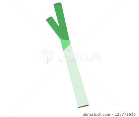 蔥。向量插圖 123771636