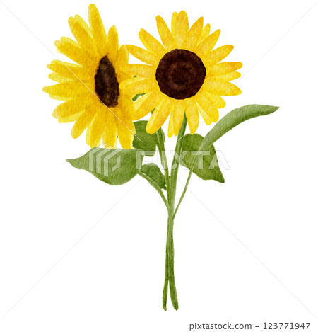 向日葵花圖畫水彩 向日葵花圖畫水彩 123771947