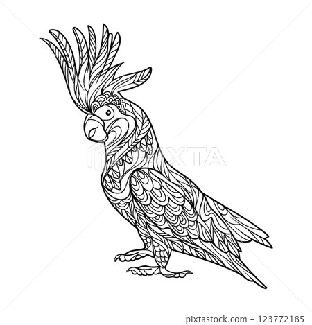Cockatoo parrot coloring book for adults vector 123772185