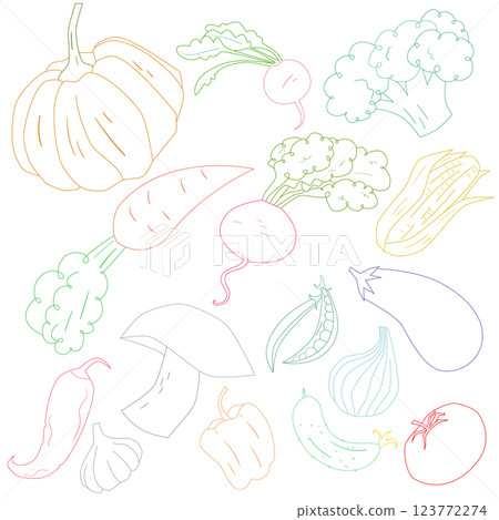 Vegetables color outline vector illustration Vegetables color outline vector illustration 123772274
