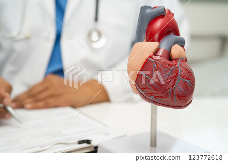 Cardiovascular disease CVD, Asian doctor holding human anatomy model for learn and treat heart disease. 123772618