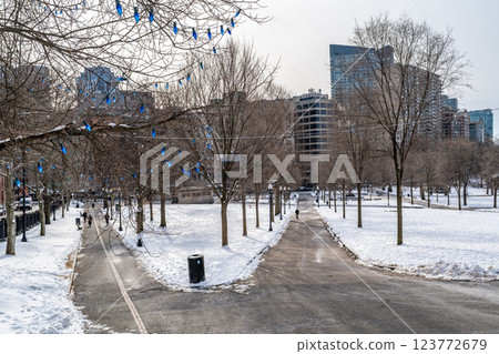 Boston Common Park covered in winter snow with no leaf trees and surrounding city skyscrapers Boston Common Park covered in winter snow with no leaf trees and surrounding city skyscrapers 123772679