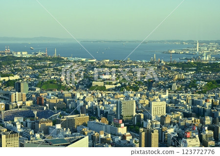 從橫濱地標塔觀景台向南遠眺 從橫濱地標塔觀景台向南遠眺 123772776