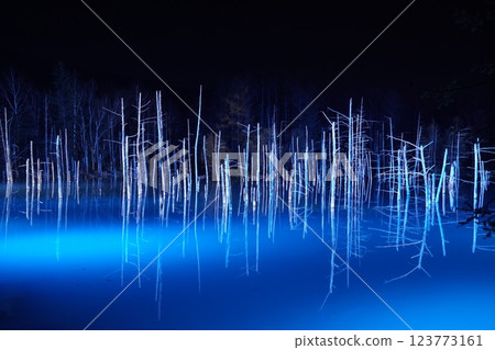 北海道美瑛的青池 - 冬夜燈火通明 123773161