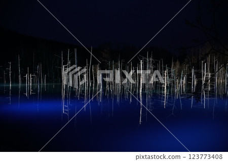 北海道美瑛的青池 - 冬夜燈火通明 123773408