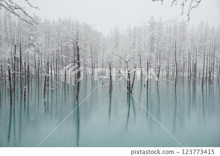 Blue Pond in Biei, Hokkaido: Winter snow scene 123773415