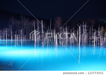北海道美瑛的青池 - 冬夜燈火通明 123773431