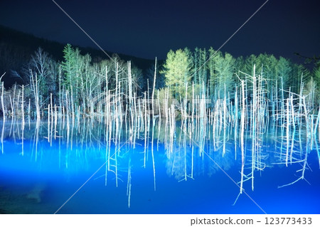 北海道美瑛的青池 - 冬夜燈火通明 123773433