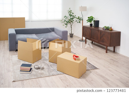 Moving cardboard boxes Moving cardboard boxes 123773481