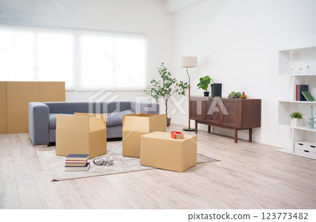 Moving cardboard boxes 123773482