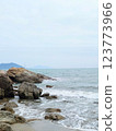 Sea shore near to the sea, under cloudy sky 123773966