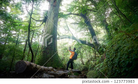 一名男性徒步旅行者用智慧型手機拍攝森林照片 123773983
